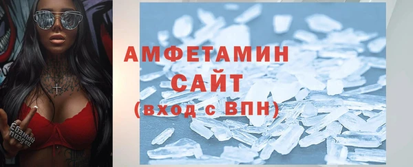 прущие грибы Алзамай
