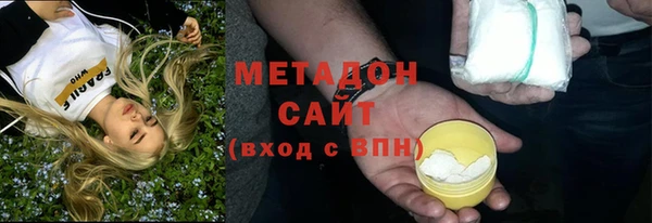 прущие грибы Алзамай