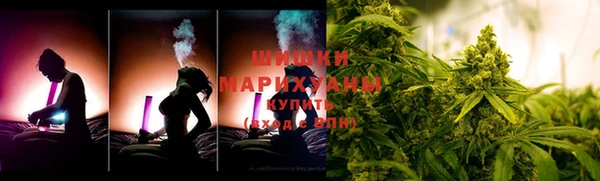 прущие грибы Алзамай
