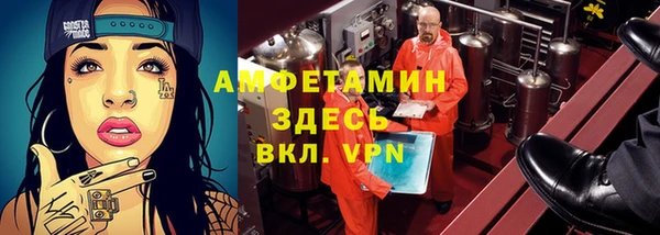 прущие грибы Алзамай