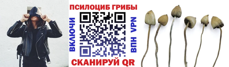 наркотики Нурлат Псилоцибиновые грибы прущие грибы