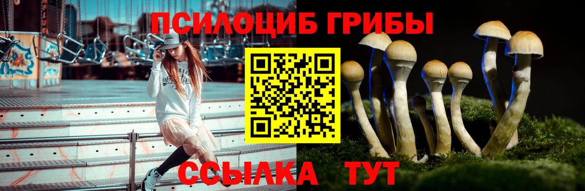 Псилоцибиновые грибы GOLDEN TEACHER  Вход с VPN  Нурлат 